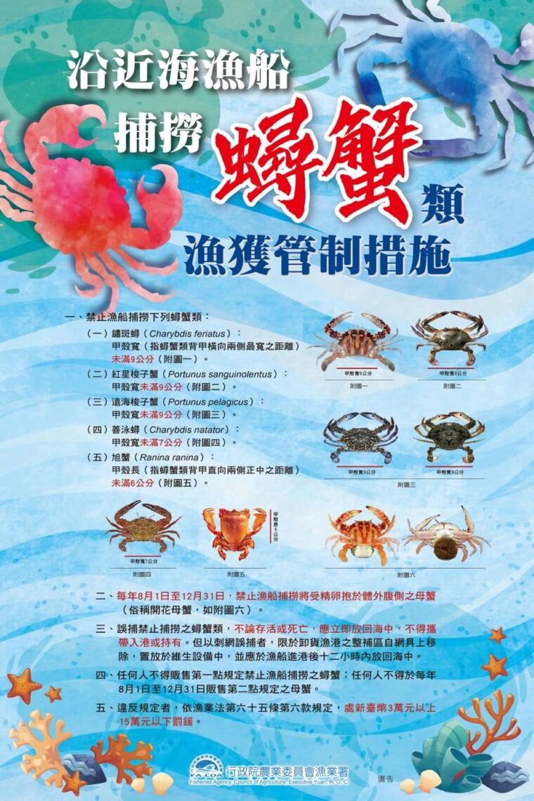 拉長抱卵母蟹禁漁期 增加捕撈甲殼寬 蟳蟹管理新制8月1日開跑