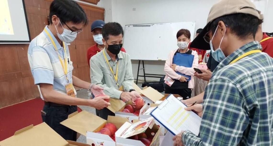 台南芒果評鑑結果揭曉