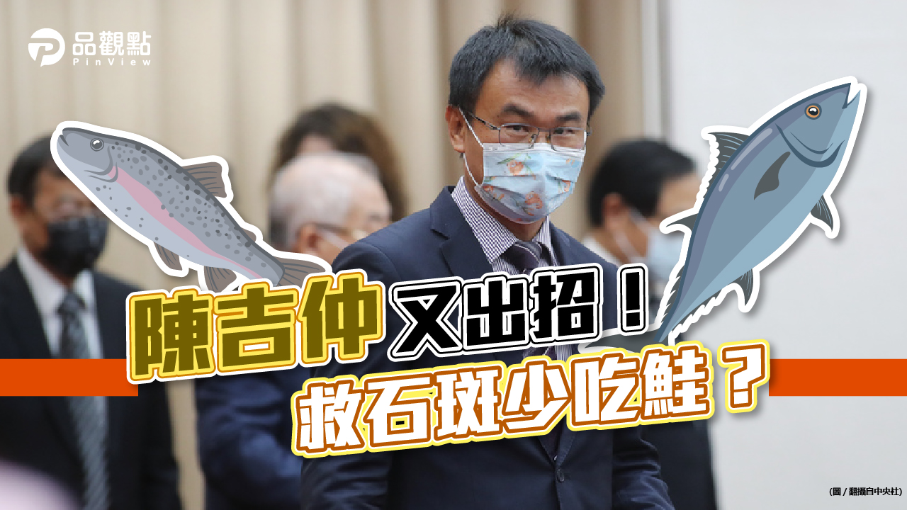 品觀點|為搶救石斑魚業者,陳吉仲出怪招:少吃鮭魚,令各界噴飯!|政治