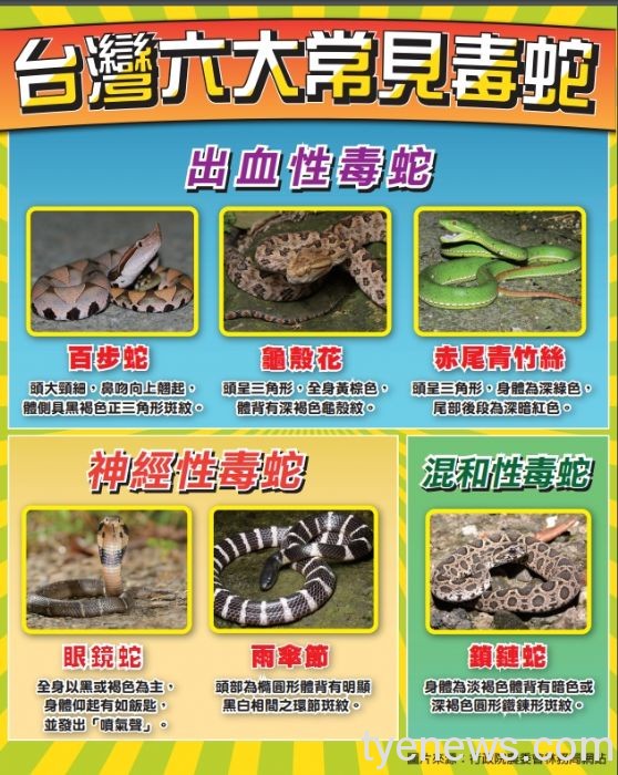 夏天小心蛇出沒 桃園農業局傳授「五不五要」技巧 19 20220708093917238
