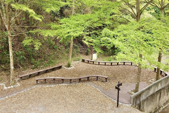 打造南關線旅遊廊帶 關廟森林公園環境再升級
