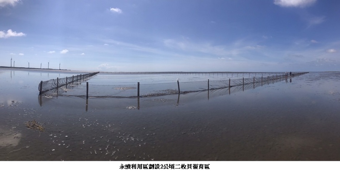 助生態永續 高美濕地設置二枚貝復育區