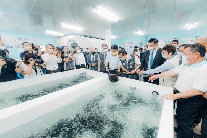 挺國產石斑魚!桃園與南台3縣市合作 海外訂單排到明年中 15 20220713111702231