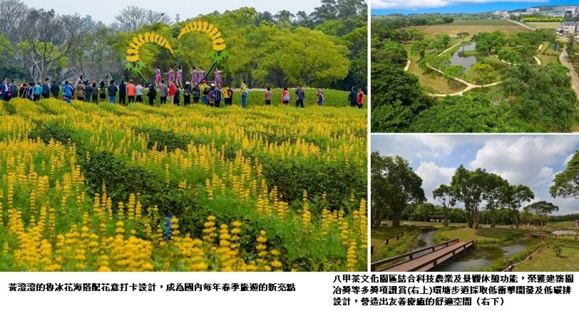 「開源節流、藏水於農」 苗栗市八甲示範茶區榮獲園冶獎~