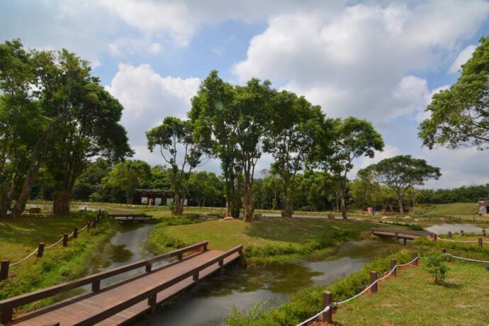 環塘步道採取低衝擊開發及低碳排設計,營造出友善療癒的舒適空間。(圖/水土保持局)