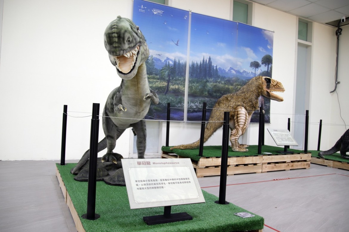 只剩2天!中央大學「恐龍與彗星展」17日結束 把握時間免費參觀 20 照片二