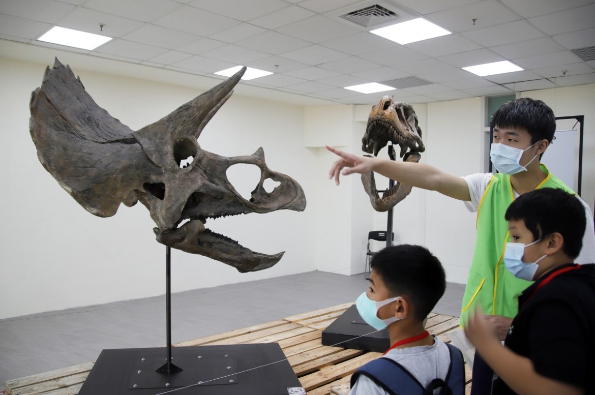 只剩2天!中央大學「恐龍與彗星展」17日結束 把握時間免費參觀 21 照片一