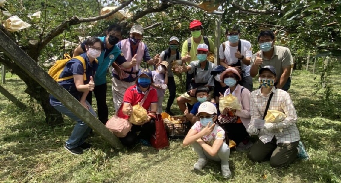 夏季東勢山城正夯    採梨消暑小旅行等你來體驗