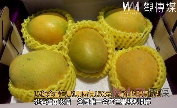 影／LV級金蜜芒果天候重創減產八成　吃1顆要價150元！有錢也難買得到