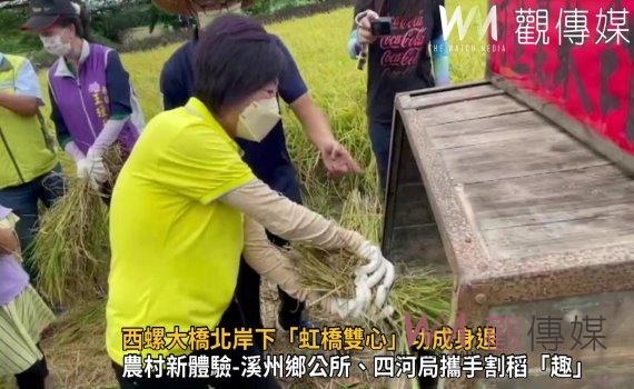 影／網美景點「收割了」　西螺大橋北岸下「虹橋雙心」功成身退