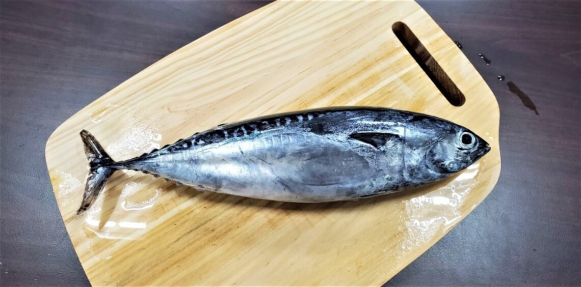 東北角夏季限定 - 煙仔來囉!