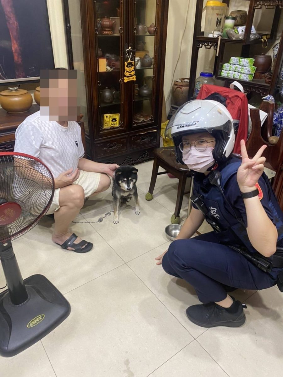 【有片】迷途柴犬馬路逛大街 巧遇下班女警陪走返家 26 1022529 scaled