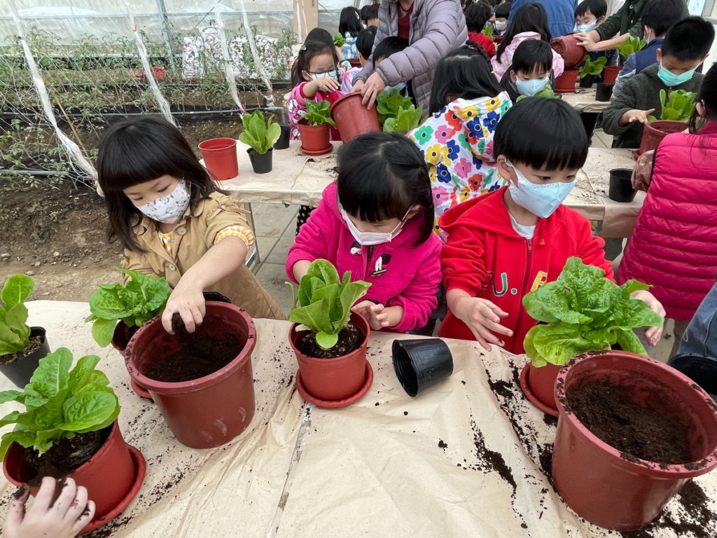 蔬菜盆栽種體驗