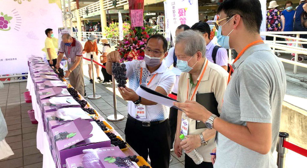 臺北市希望廣場舉辦「111年度臺中市優質葡萄評鑑」活動