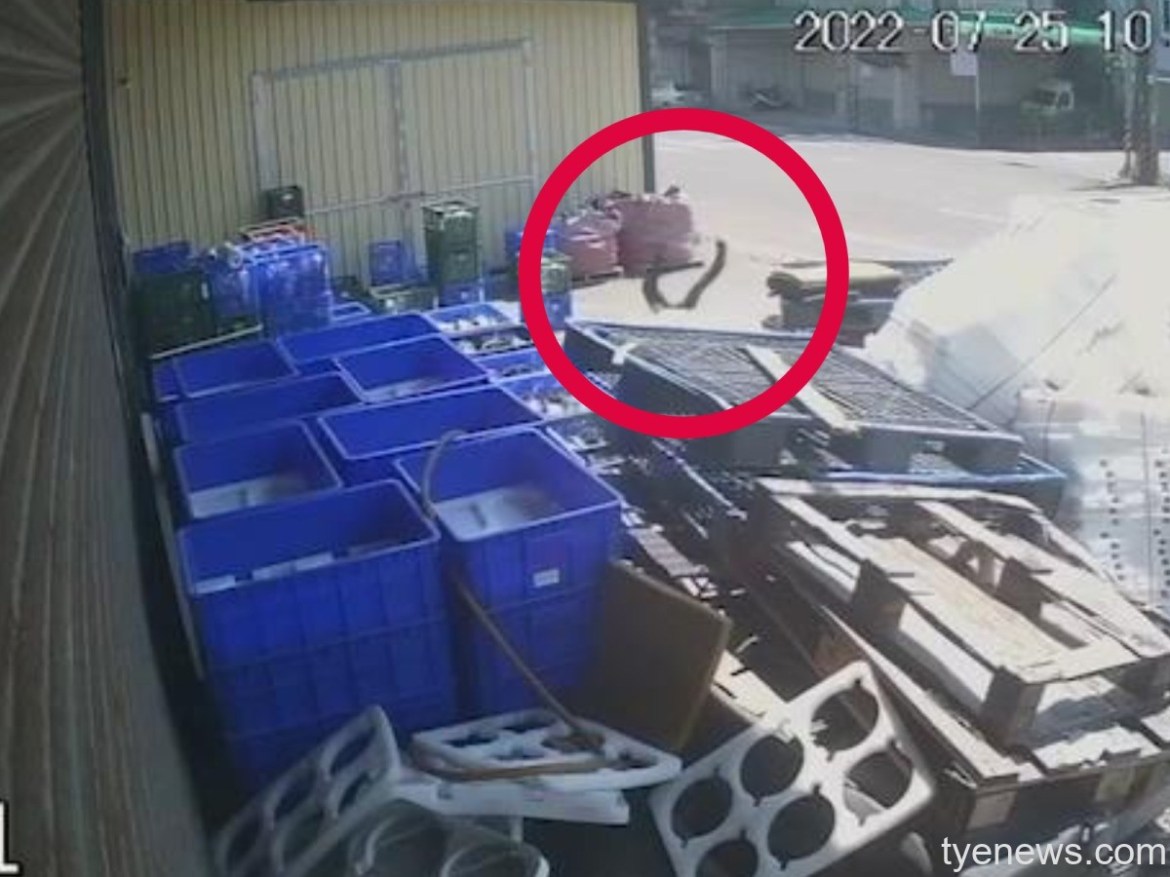 【有片】嚇壞路人!遭小貨車撞捲入車底 7旬婦傷重不治 27 FotoJet 1