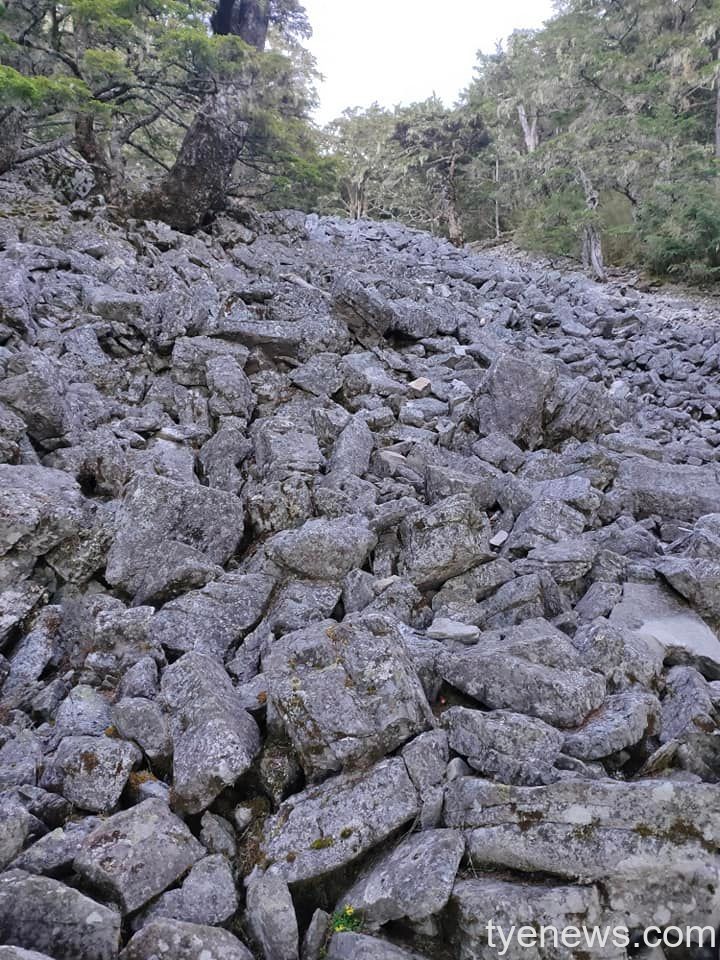 【桃園文選】登雪山宛若置身天上人間 15 10 1