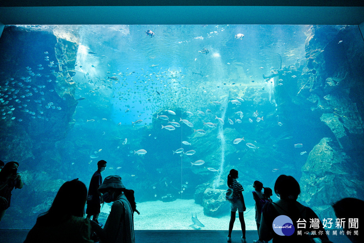 A18高鐵桃園站附近景點透出時尚華麗風潮:八景島水族館。