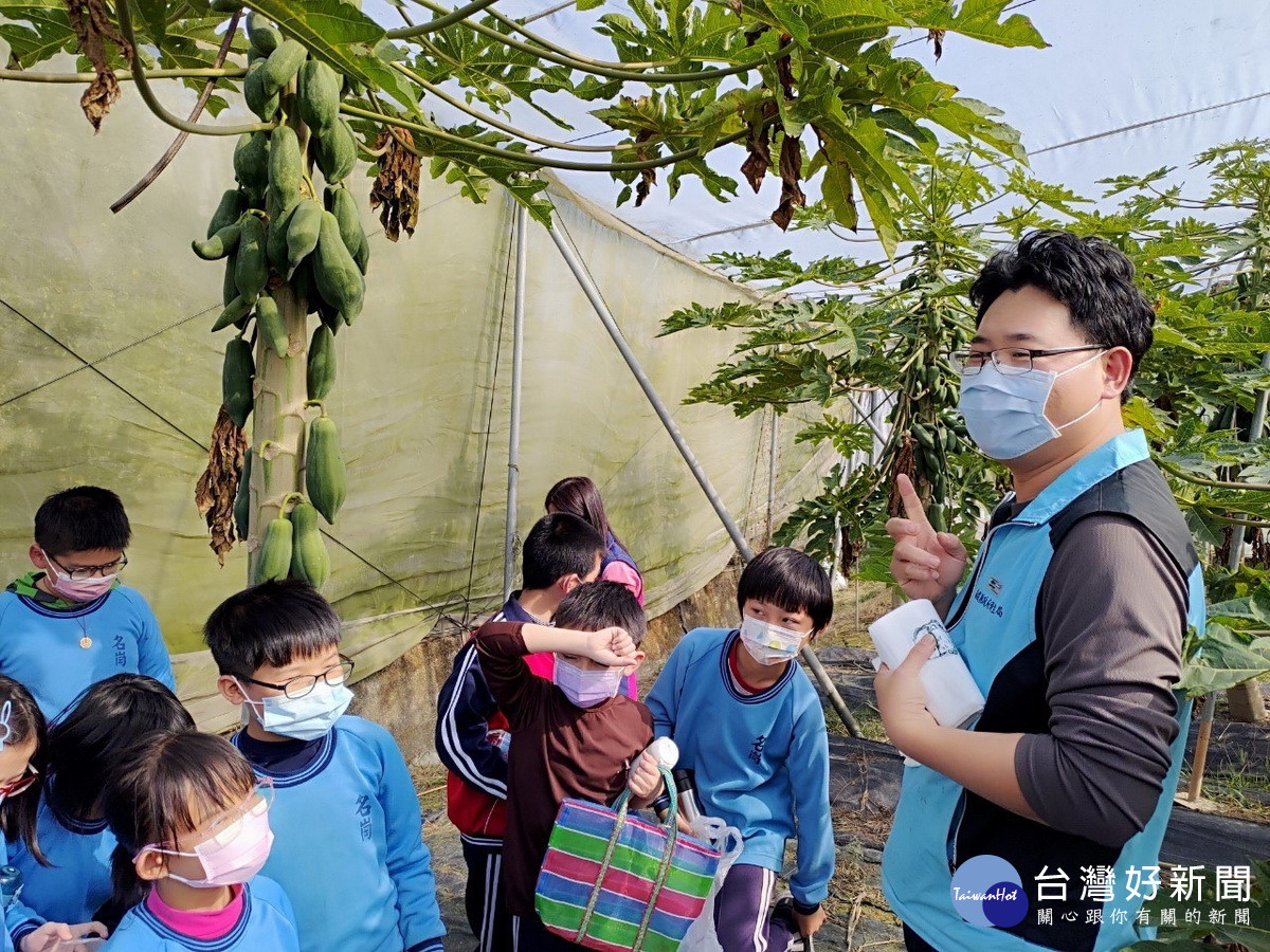 林浚宇種植網室木瓜已有成果常有團體參訪。(縣府提供)