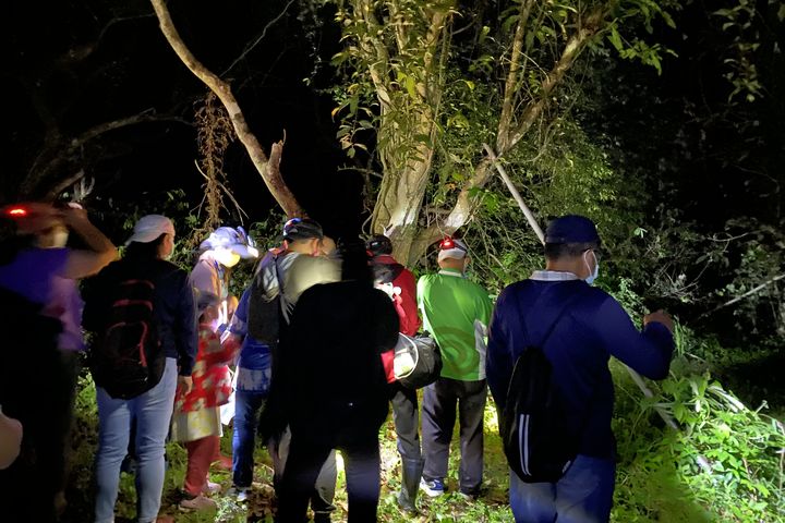 茂管處再次推出「寶來夜間生態導覽」活動。 圖:茂林國家風景區管理處/提供
