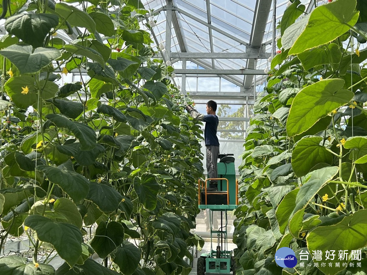 中區農改場綠研創二甲子 展出園藝作物經典與最新研發成果