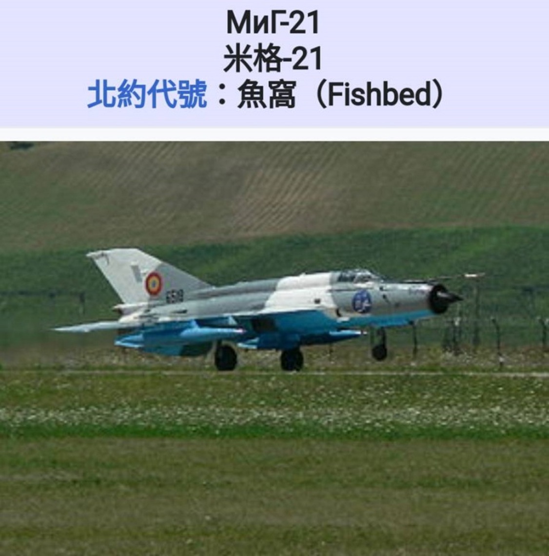 印度米格-21教練機墜毀 2飛官喪生
