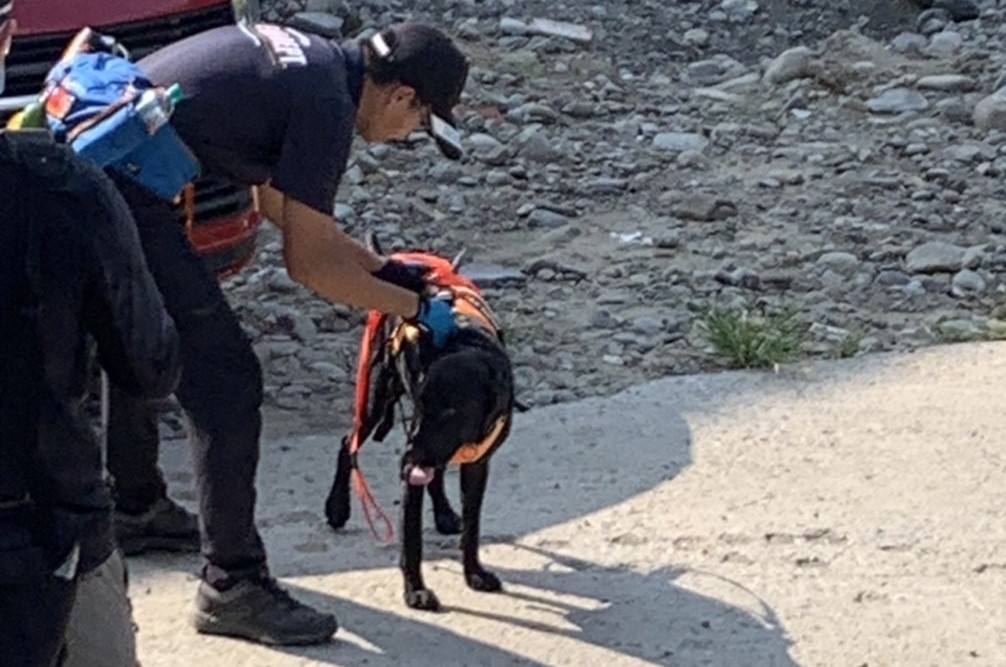▲警犬也加入搜山追捕行列中 (圖/台中市警察局 提供)