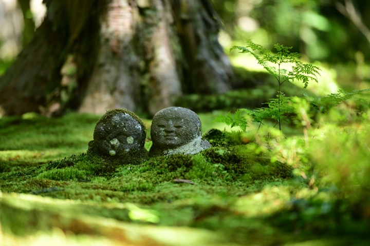 三千院擁有許多孩童地藏石像,是到訪必找必拍亮點。 圖:写真AC/來源