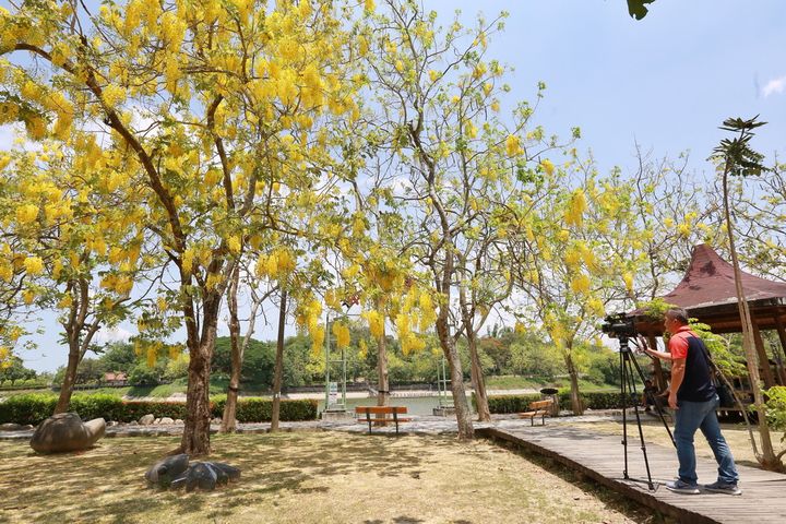 用鏡頭捕捉虎頭埤的美麗瞬間。 圖:虎頭埤風景區管理所/提供