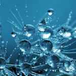clear water drops