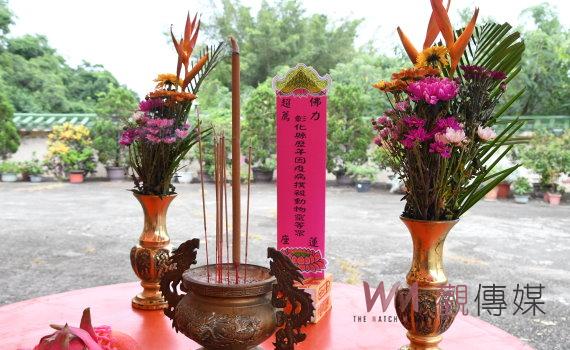 為往生動物超渡輪迴 111年彰化縣中元動物靈普渡法會