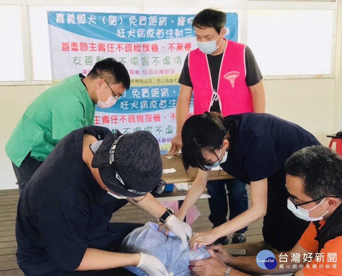嘉義縣家畜所輔導山區犬貓植晶片、打疫苗／嘉義縣府提供