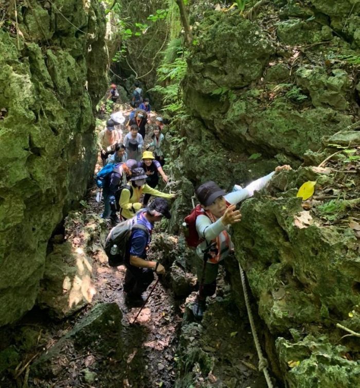 慶祝父親節 臺灣港務公司舉辦樂遊登山活動