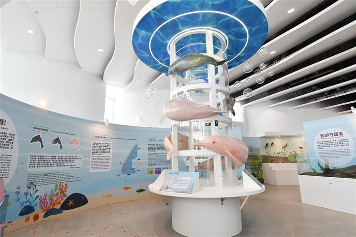 暑假遊玩好去處 彰化打卡熱點「白色海豚屋」