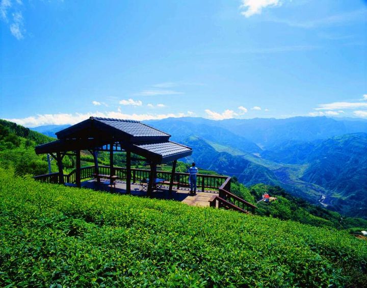 酷夏避暑／探訪阿里山生活圈 4村＋3村更精彩