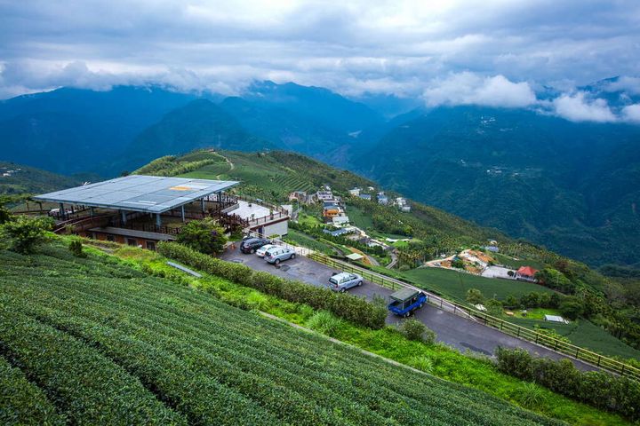 酷夏避暑／探訪阿里山生活圈 4村＋3村更精彩