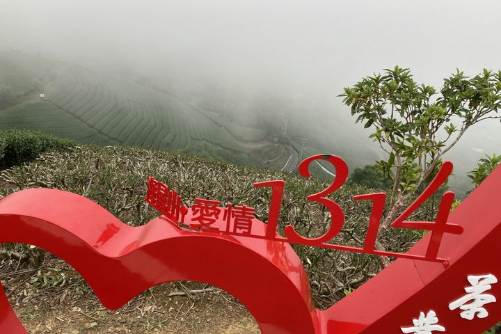 酷夏避暑／探訪阿里山生活圈 4村＋3村更精彩