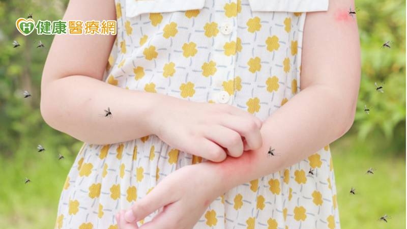病媒蚊叮咬當心誘發日本腦炎! 防疫醫師授「防蚊秘訣」