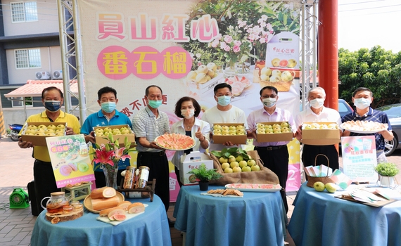 宜蘭員山鄉紅心芭樂上市 縣長林姿妙：香甜軟Q！
