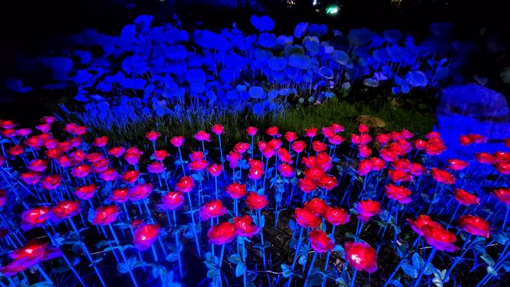 絢爛夏夜/《北投女巫魔法節》裝置燈區 訴說溫泉鄉魔法故事