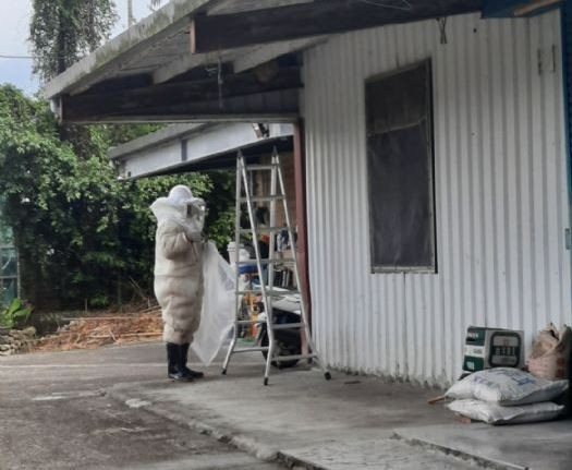 農業局呼籲,若遭遇蜂類,應保持冷靜、慢慢壓低身體、以衣物護住頭部緩步離開。<br /><br />