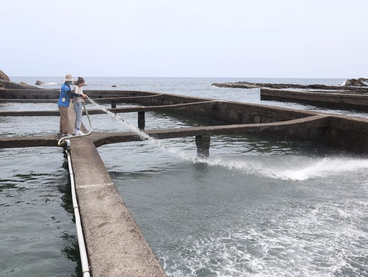 暢遊北北基/農情岩海鮮體驗 走進梯田職人教室之旅