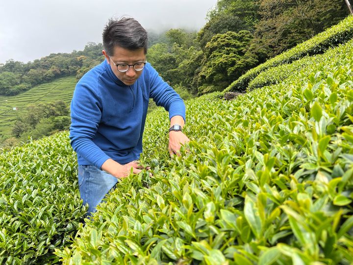 品茶趣/承襲泉芳茶莊百年韻味 新創思維華剛茶業打響品牌、邁向國際