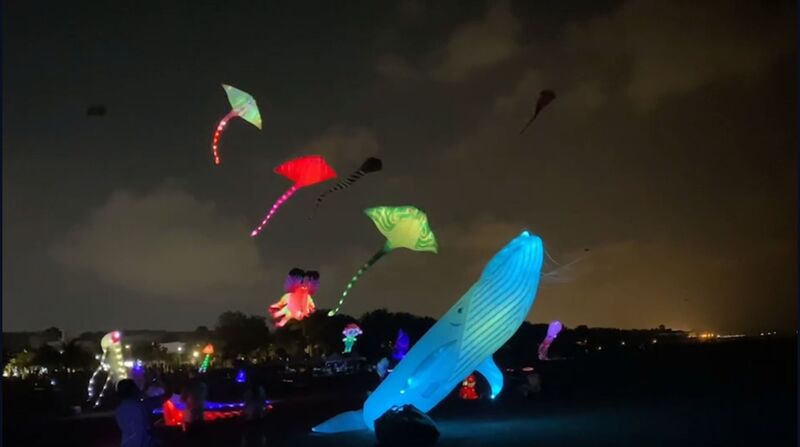 漾新聞|影》大魚飄上了天!旗津風箏節夜光風箏秀越夜越美麗