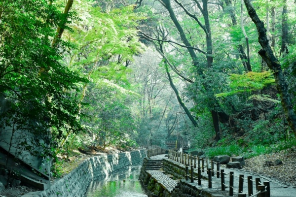 遠離塵囂  在東京探索山林祕境！