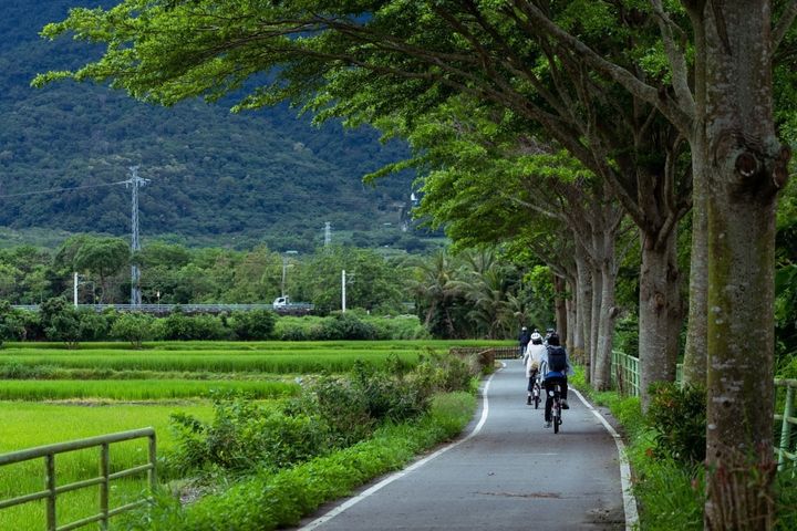 縱管處推出「徐行縱谷」單車優惠遊程。 圖:花東縱谷國家風景區管理處/提供