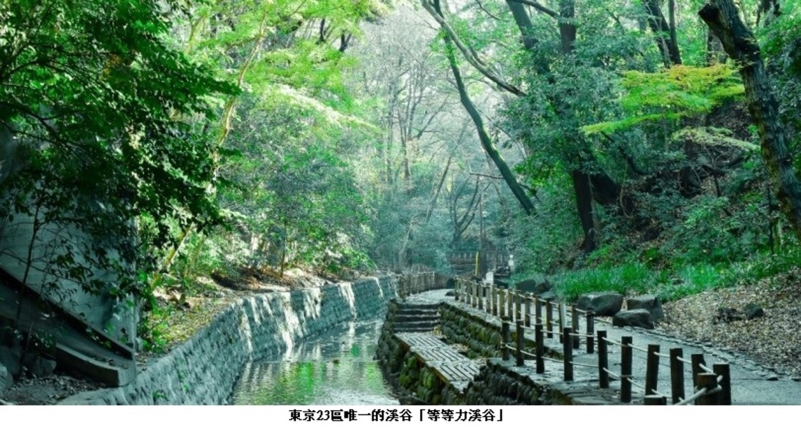 都市裏也能貼近大自然 東京慢活小旅行首選 療癒綠洲「等等力溪谷」