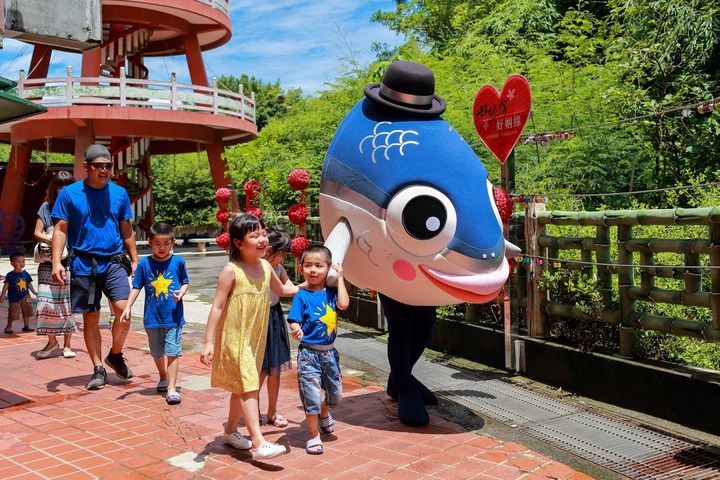 魚粉快來相挺！台南「魚頭君」有專屬IG了