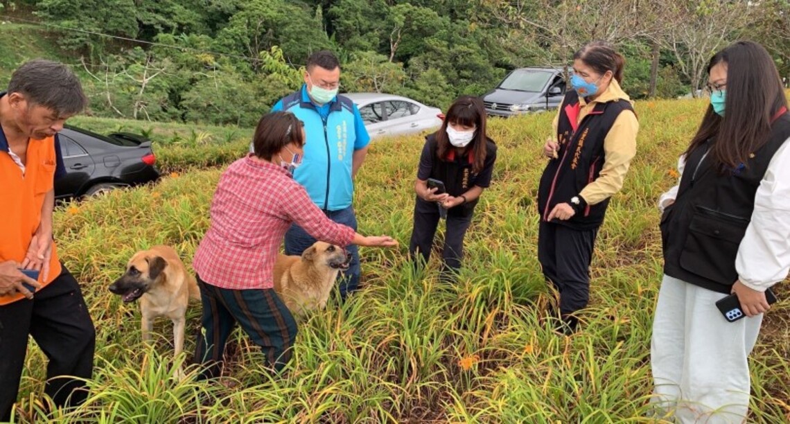 花蓮縣府組勘災小組現勘玉里鎮金針菜乾旱受災情況 爭取現金救助