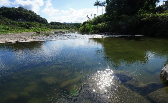 安心賞美景 坪林北勢溪固床工功能再提升