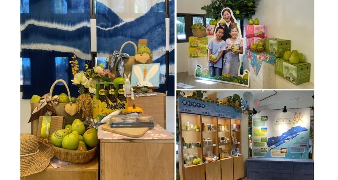 花蓮縣府推出農好基地「四季食養‧農村演義」特展 秋季展八月底接檔展出